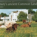 Sudbury’s Ancient Common Land