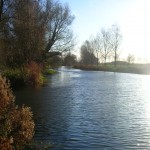 River Stour, Great Cornard