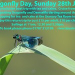 Damson Fly 1b