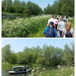 Walk ‘n’ Water collage