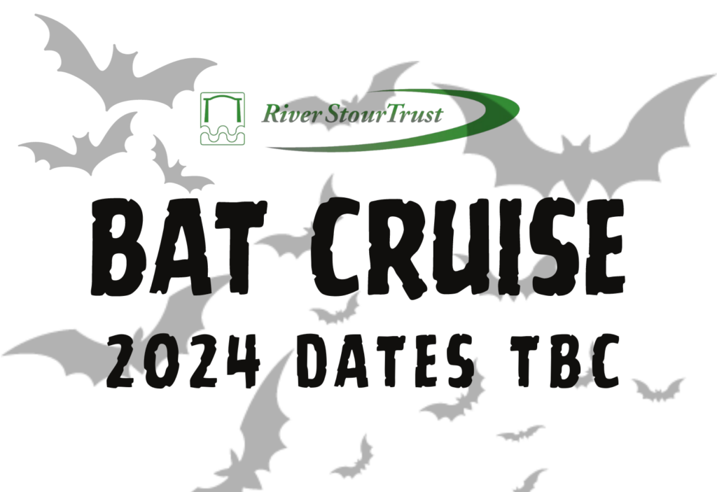 Bat Cruises River Stour Trust